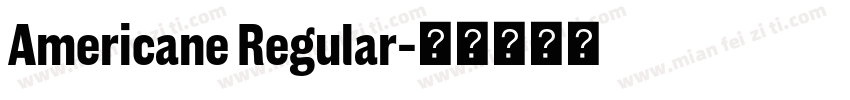 Americane Regular字体转换
